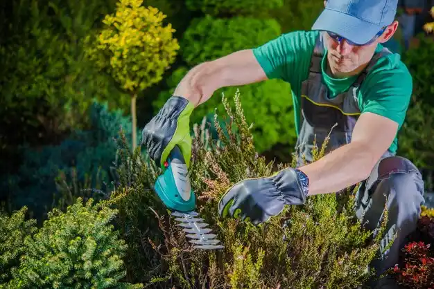 landscaping services Hershey